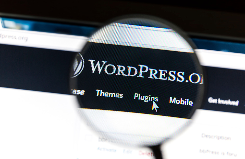 WordPress, CMS n°1 pour les PME à travers le monde !